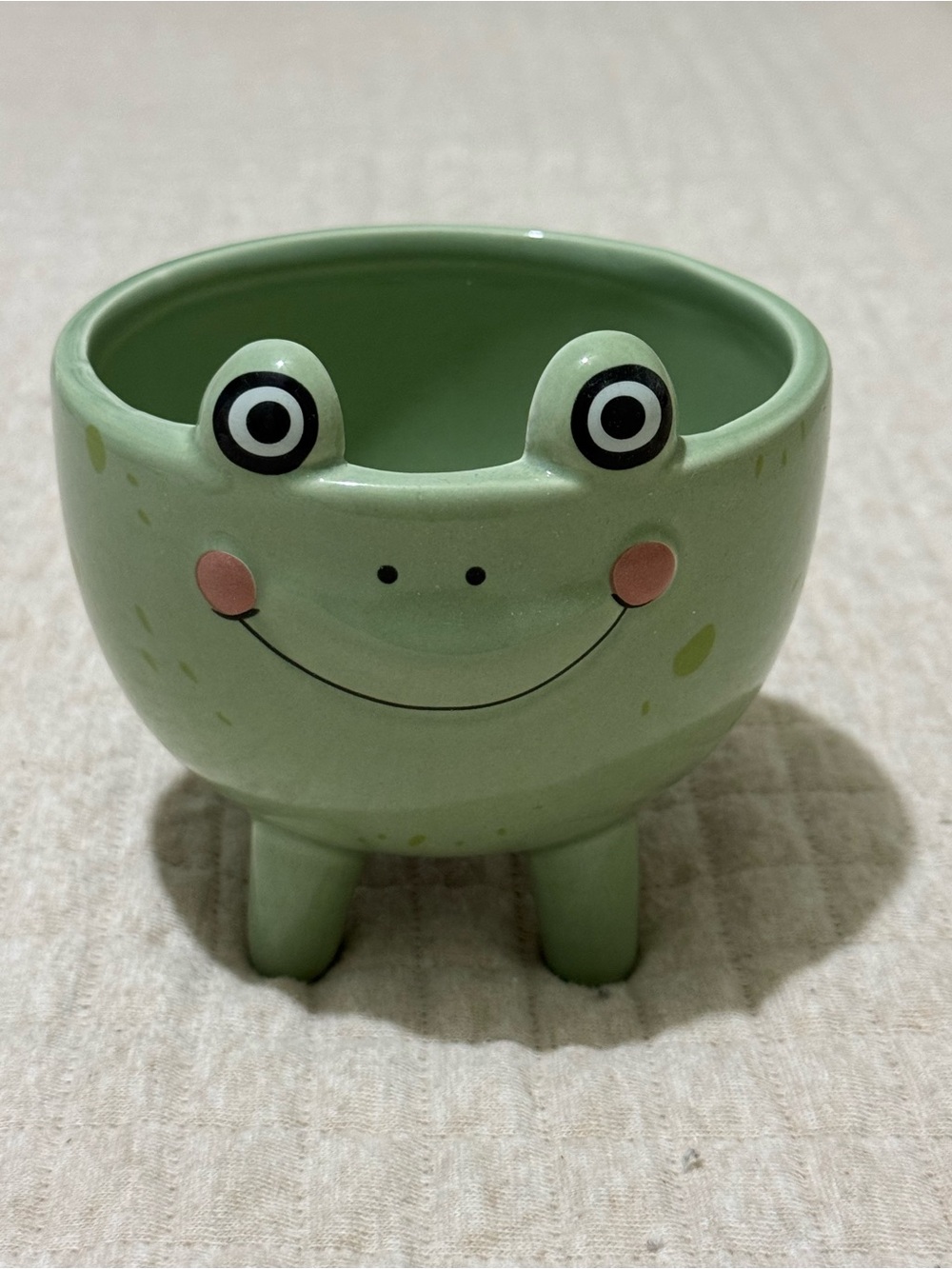 Target Frog Ceramic Planter Bowl Decoration